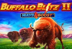 Buffalo Blitz 2